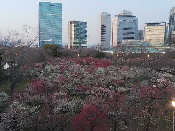 カラー人工芝のサイズ展開についてサムネイル
